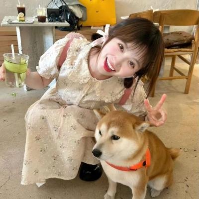 兔头男复仇记